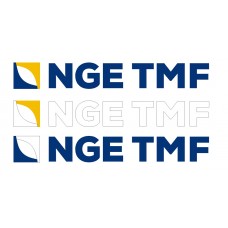 Logo NGE TMF